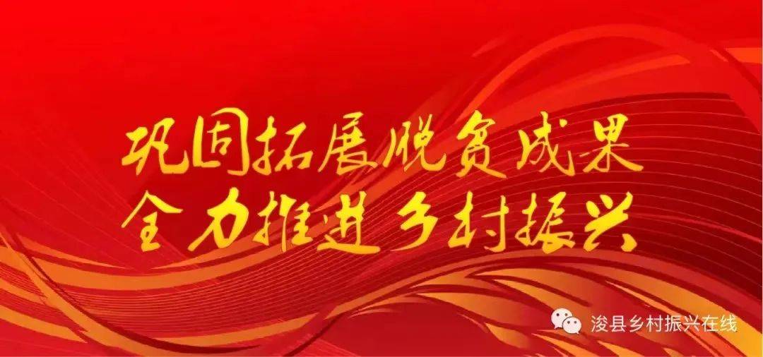 广发银行郑州分行帮扶李新寨高油酸花生基地建设初结硕果雷竞技`(RAYBET)的官方网站(图1)