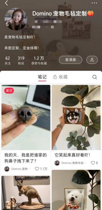 职观丨90后宠物毛毡师：RAYBET(雷竞技)用温暖的材料做有温度的作品让逝去的宠物“重回”人间(图3)